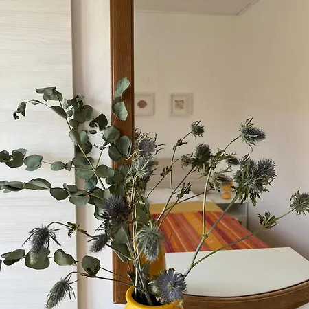 Grgas - Mulo Apartment